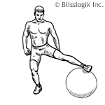 Ball Hip Adduction GIF