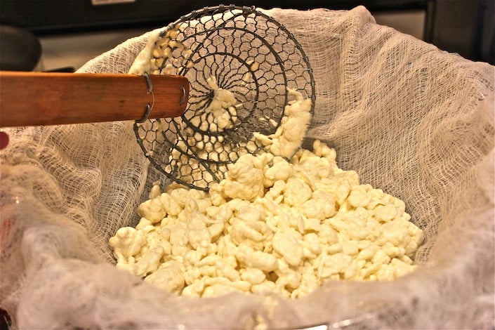 Cheese Curds Draining