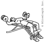 Lying Fly GIF