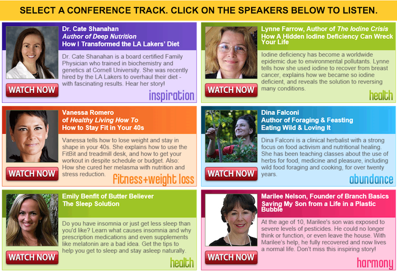 New Year New You Summit | WholeLifestyleNutrition.com