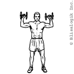 Shoulder Press GIF