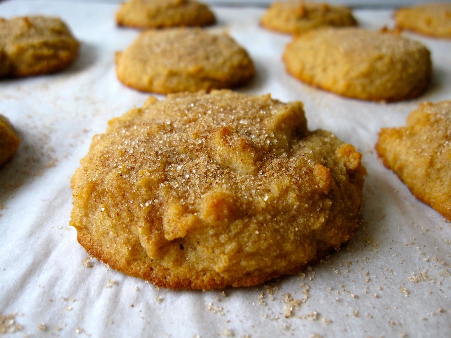 Organic & Holistic Holiday Candies and Cookies - Whole Lifestyle Nutrition