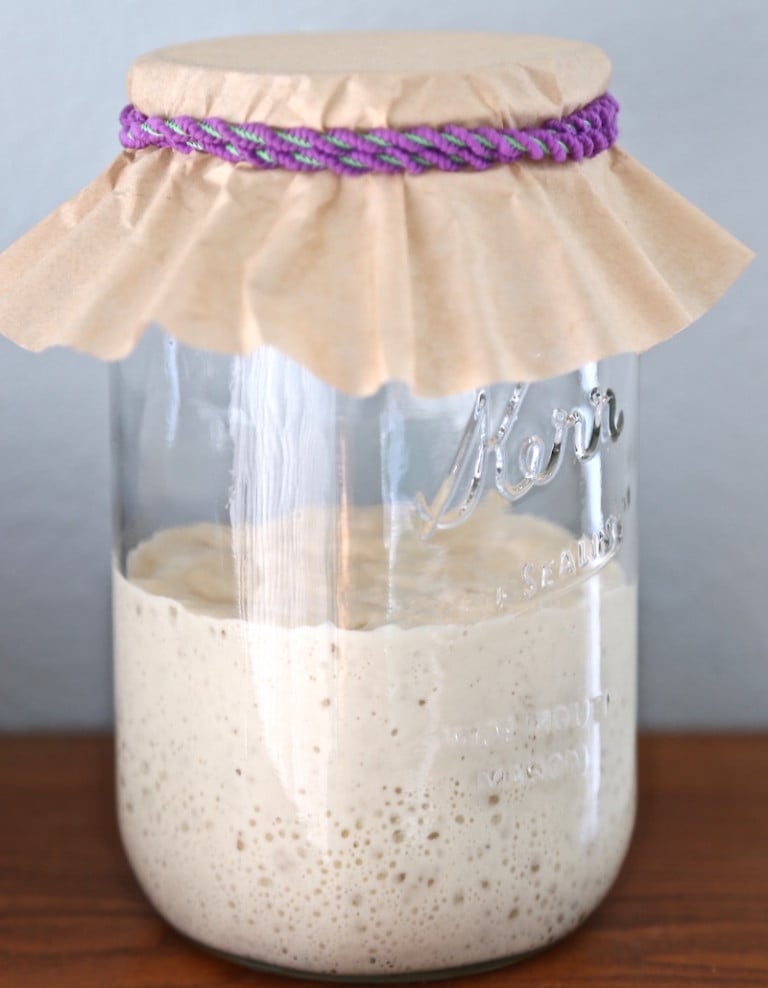 Sourdough Basics What is a sourdough starter and what is sourdough