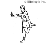 legs #2 front leg stretch